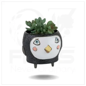 Baby Birdie Black Planter