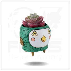 Baby Birdie Emerald Planter