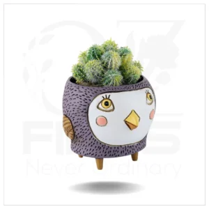 Baby Birdie Purple Planter