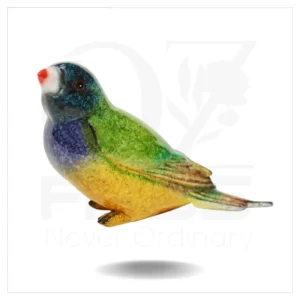 Finch Blue Head