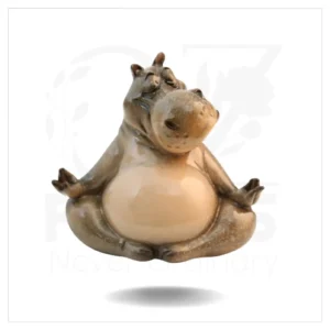 Hippo Meditating